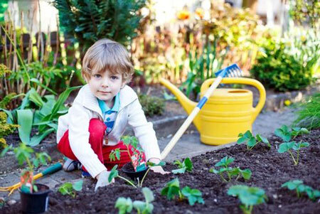 باغبان کوچک| معجزه تعامل کودک با گل و گیاه
