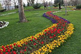  فضای سبز تهران در ما‌ه‌های اخیر چه تغییری کرده است؟