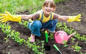 اصول آموزش باغبانی به گروه های سنی مختلف
