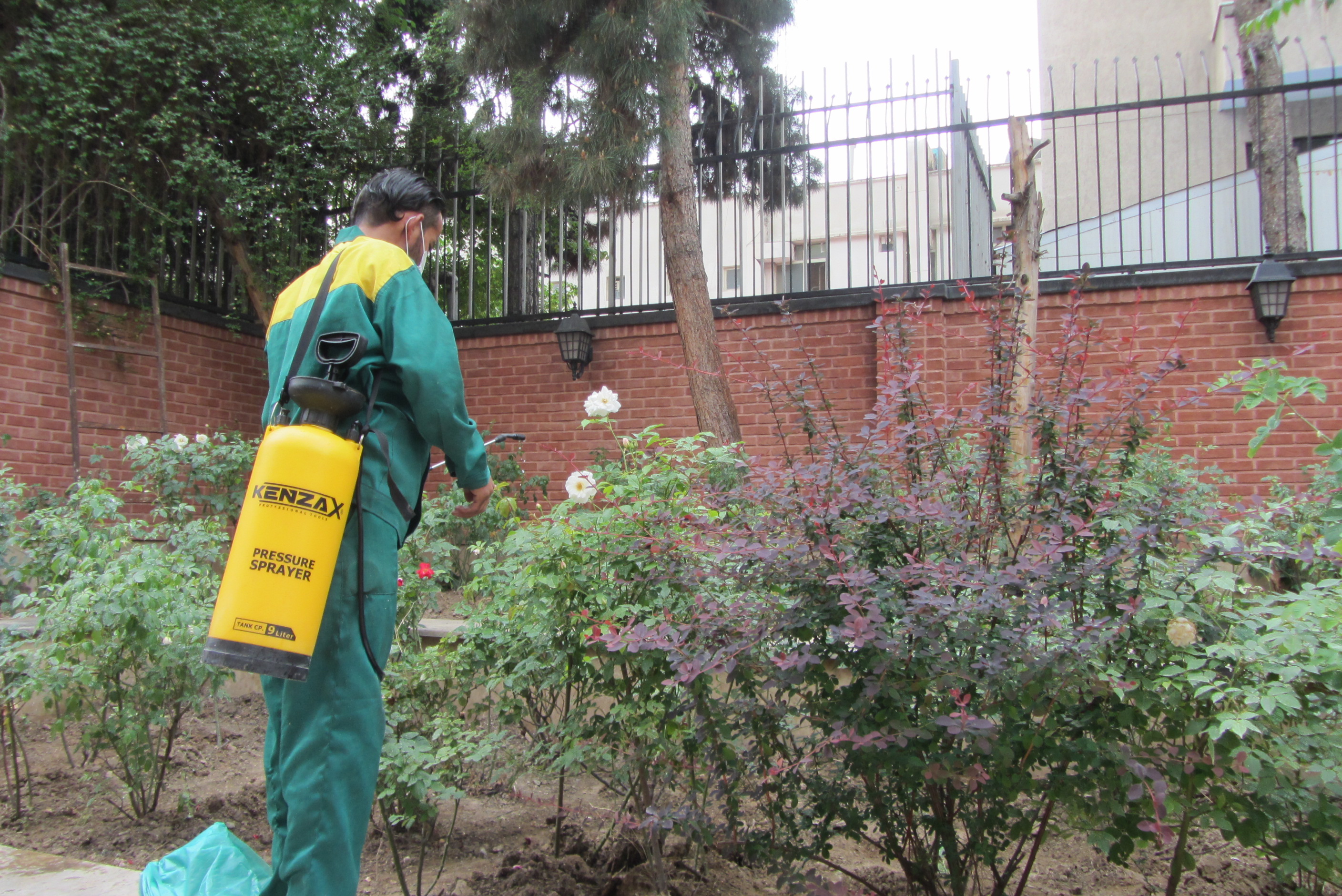 نگهداری فضای سبز تهران