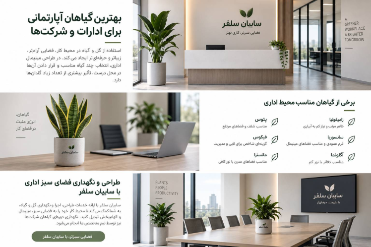 بهترین گیاهان آپارتمانی برای ادارات و شرکت‌ها | طراحی فضای سبز اداری